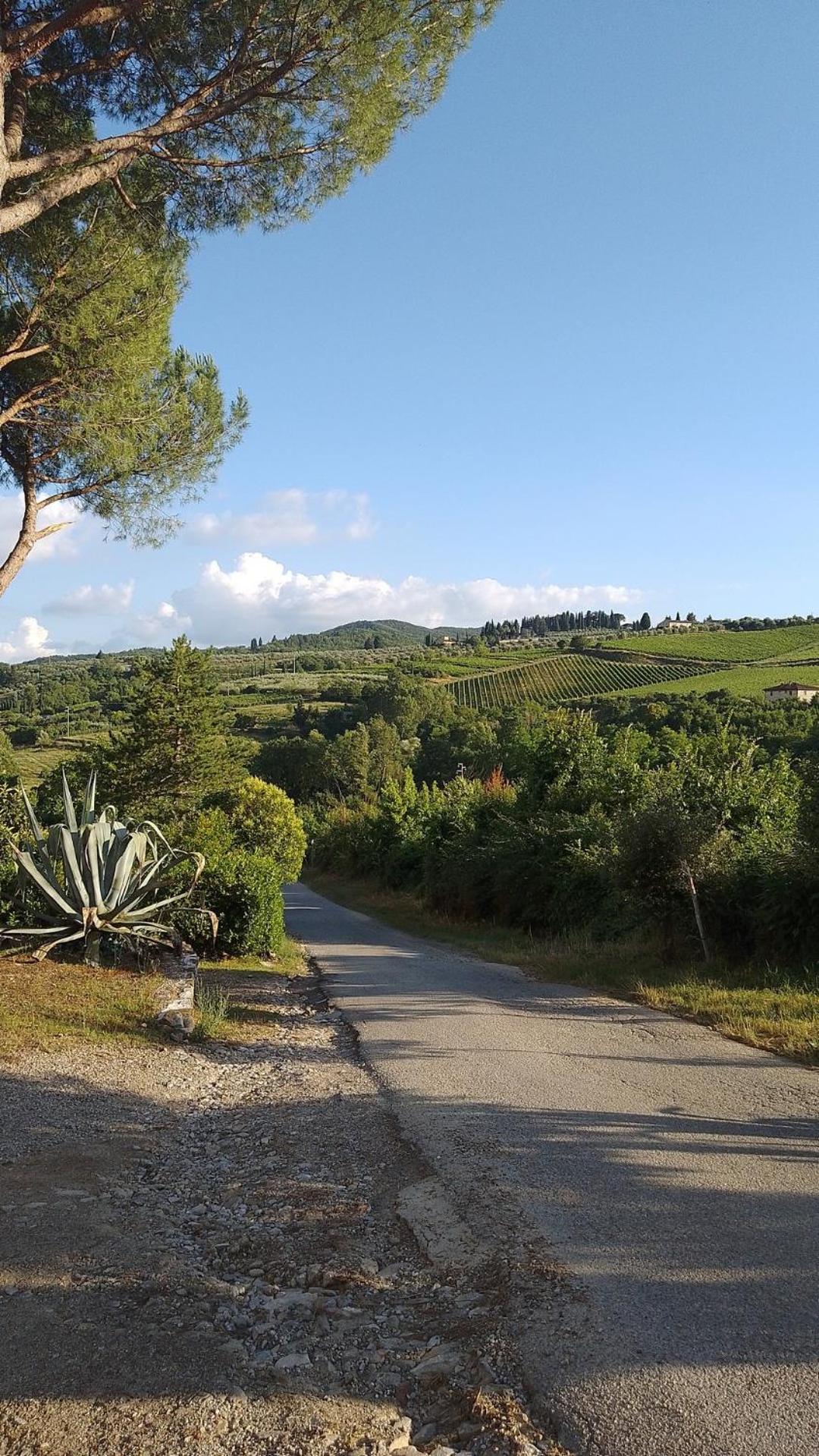 La Turra - Casa Di Campagna Greve in Chianti Exterior foto